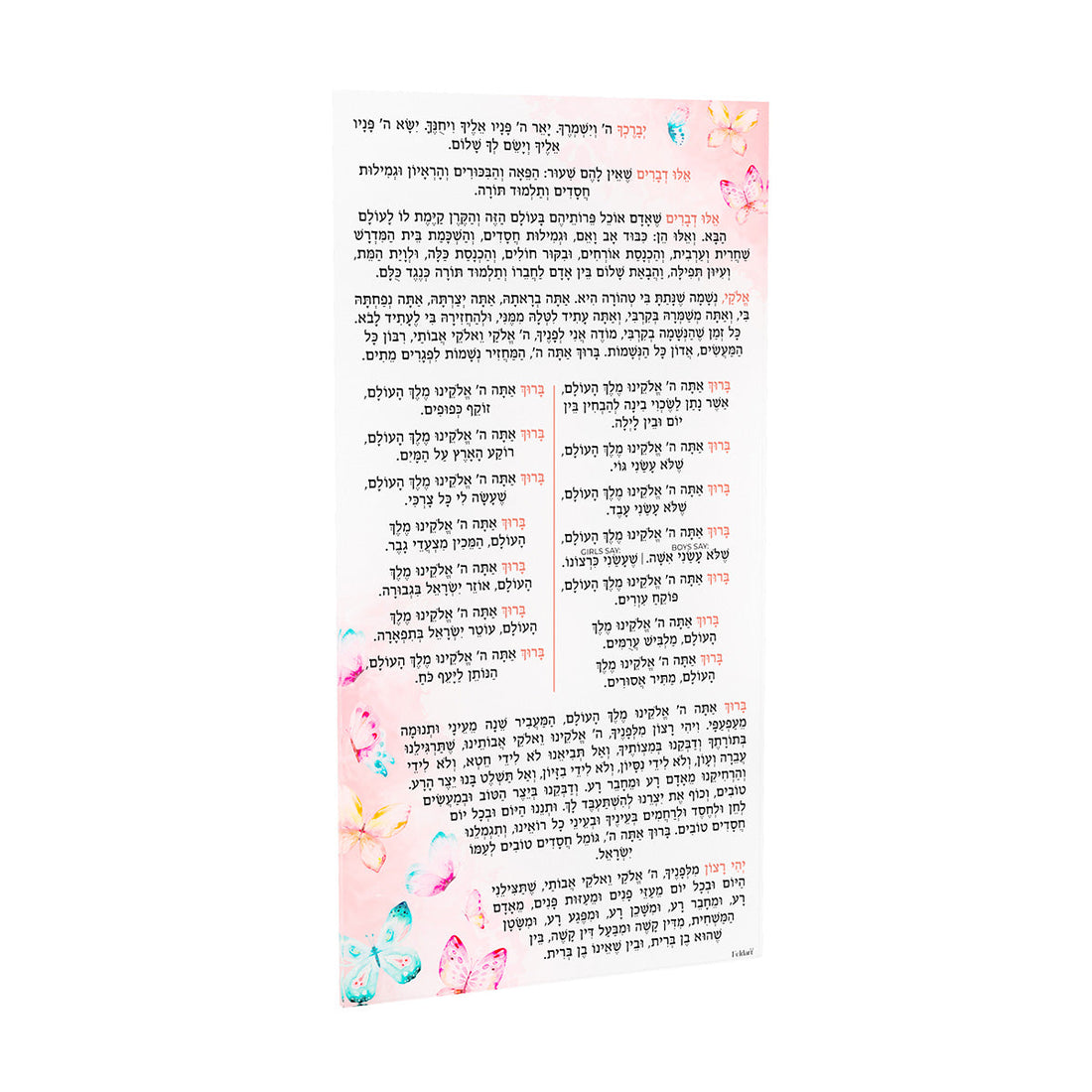 Butterfly Birchas Hashachar