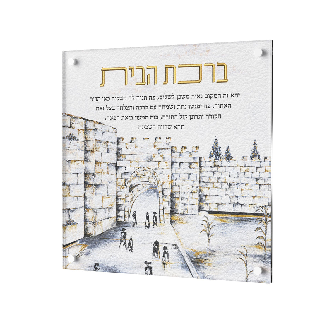 Leatherite Birchas Habayis - Sha&