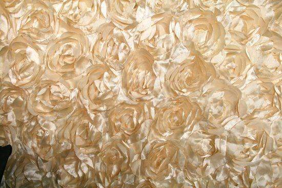 LOVEABLE Embroidered Taffeta Fabric, 54 Inch. in Width