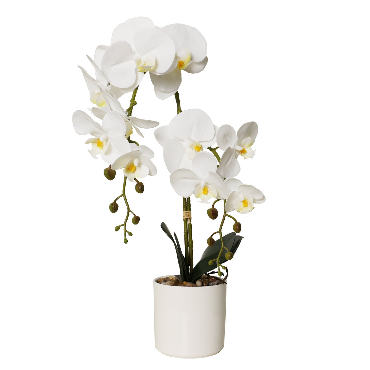 Potted Phalaenopsis 11 Pink Orchids in White Ceramic Pot