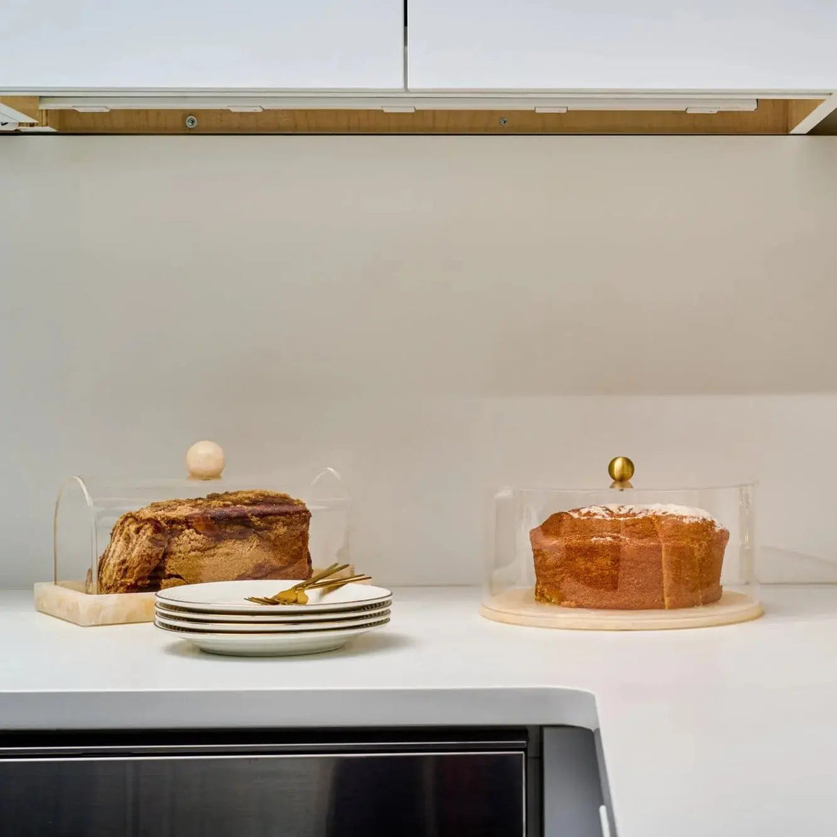 Small Rectangular Resin Cake Dome