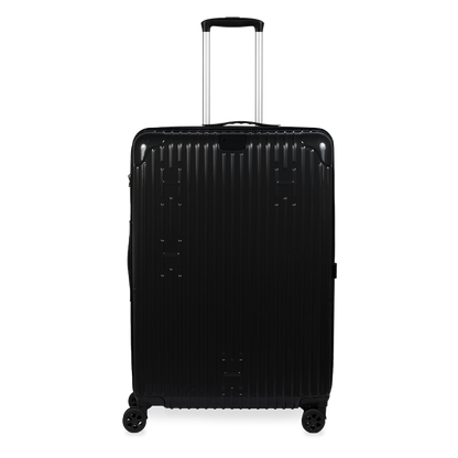 Check-In Luggage