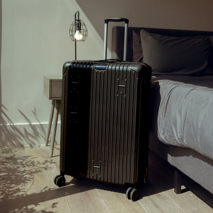 Check-In Luggage