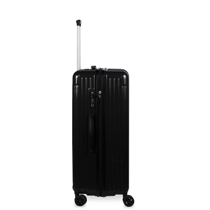 Check-In Luggage