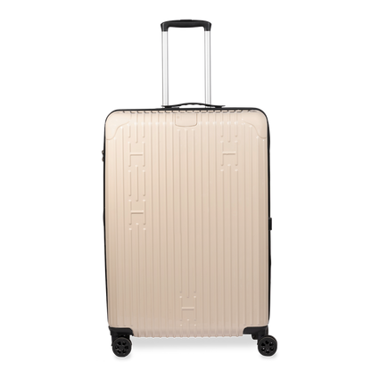 Check-In Luggage