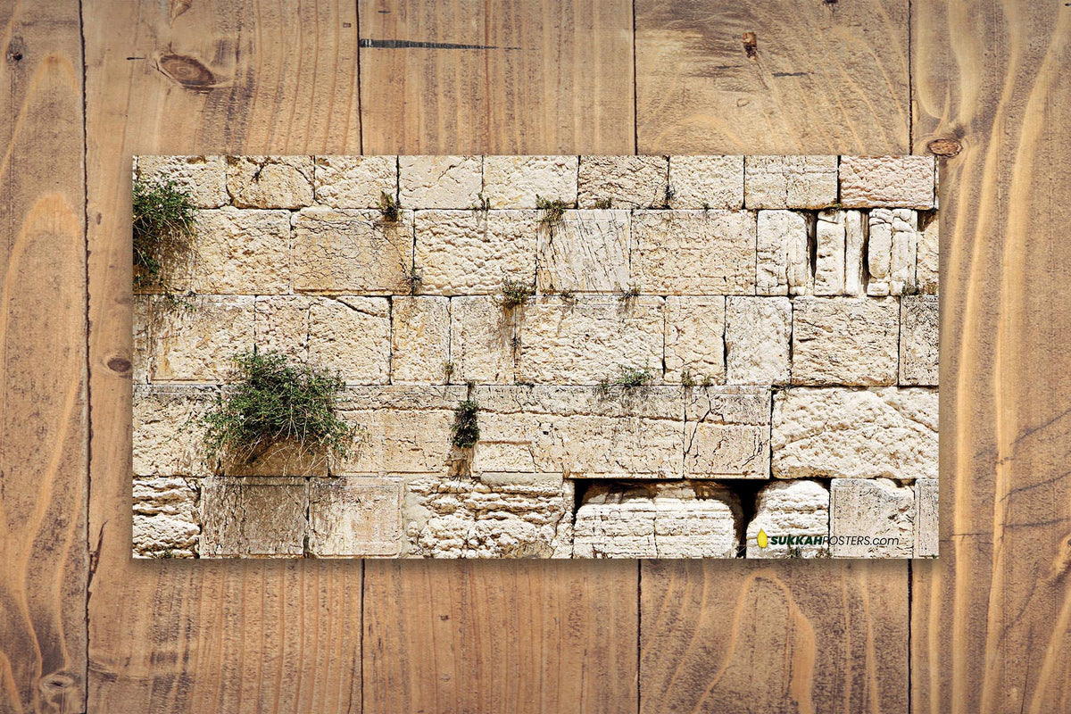 Kosel Experience Sukkah Mural