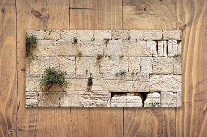 Kosel Experience Sukkah Mural