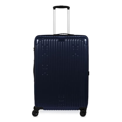 Check-In Luggage