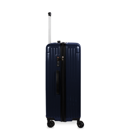 Check-In Luggage