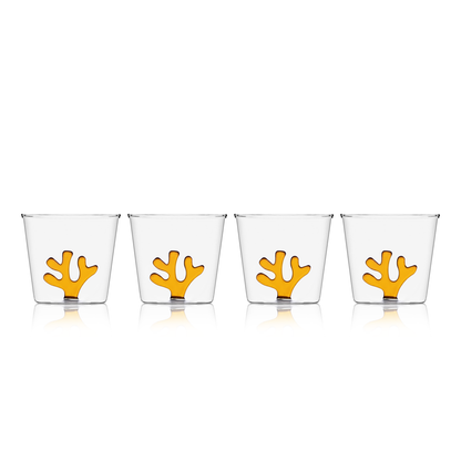Water Tumblers