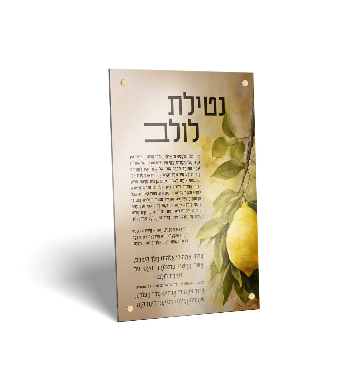 Painted by Batya Sukkah Decoration Set