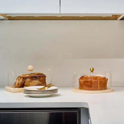 Small Rectangular Resin Cake Dome